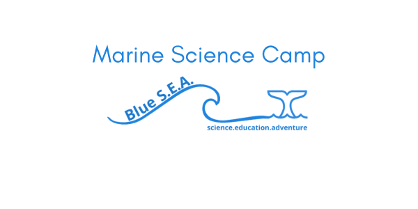Blue World Research Institute logo